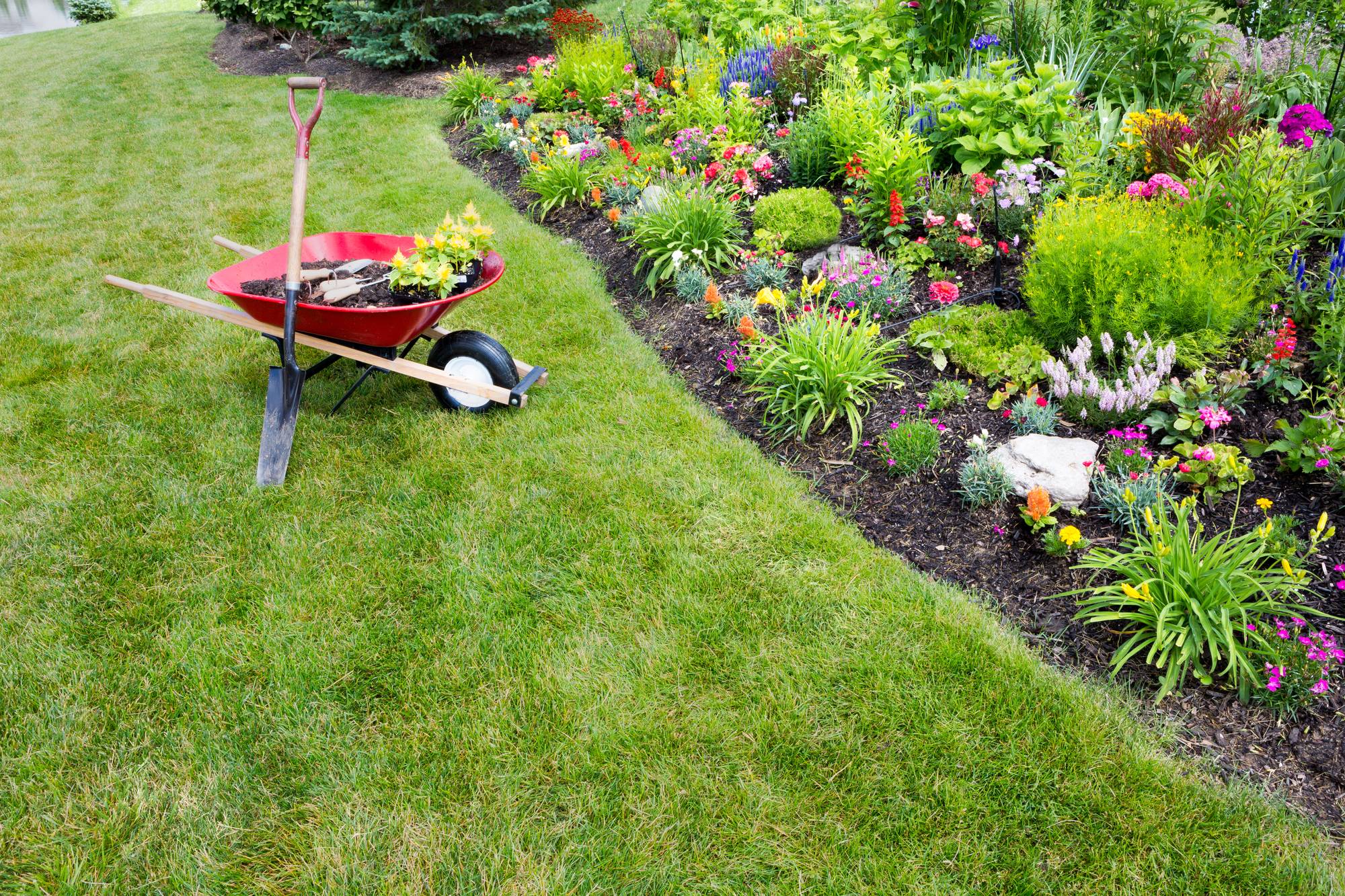 Liberty Landworks Western KY Landscaping Paducah Plumber