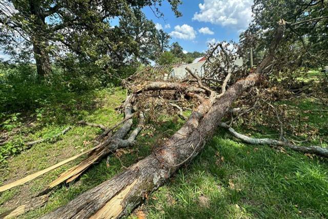 Property Clean Up West KY